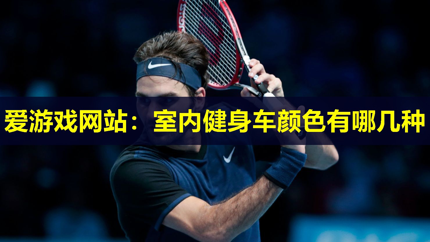 爱游戏网站：室内健身车颜色有哪几种