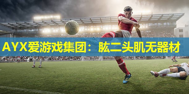 AYX爱游戏集团：肱二头肌无器材