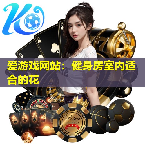 爱游戏网站：健身房室内适合的花
