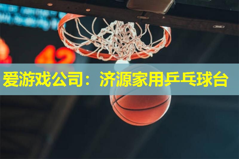 爱游戏公司：济源家用乒乓球台