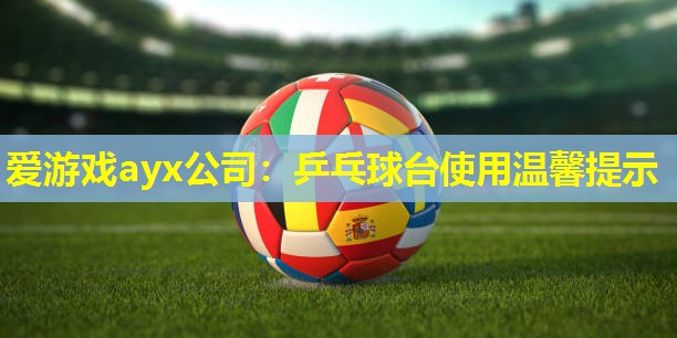 爱游戏ayx公司：乒乓球台使用温馨提示