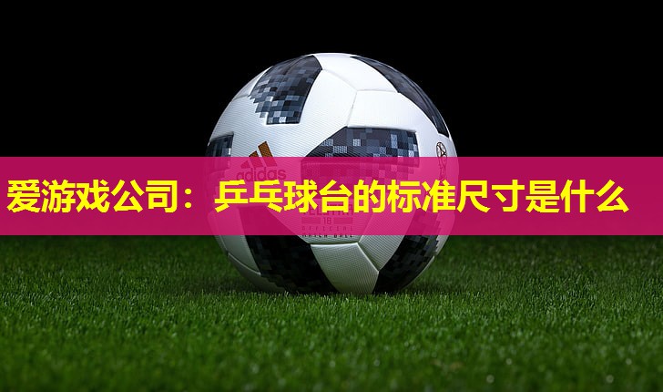 爱游戏公司：乒乓球台的标准尺寸是什么