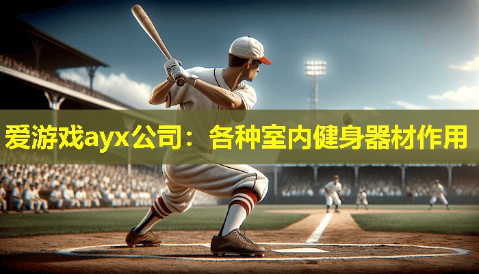 爱游戏ayx公司：各种室内健身器材作用