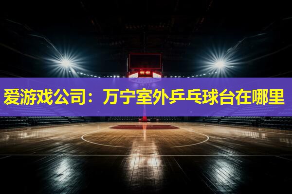 爱游戏公司：万宁室外乒乓球台在哪里