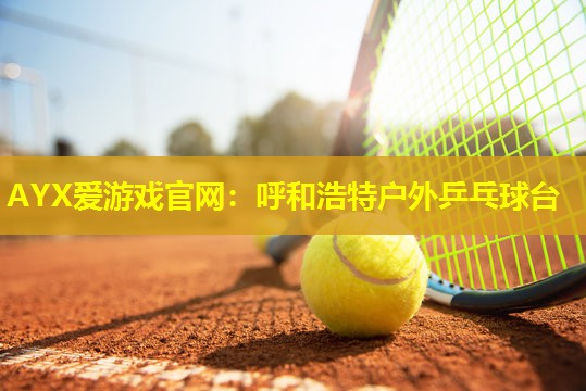 AYX爱游戏官网：呼和浩特户外乒乓球台
