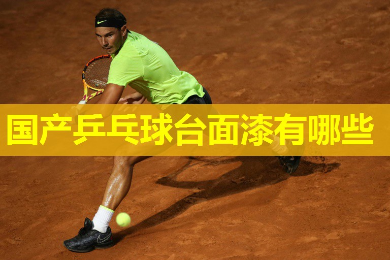 国产乒乓球台面漆有哪些