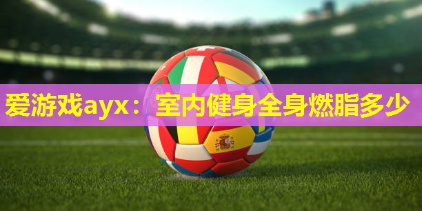 爱游戏ayx：室内健身全身燃脂多少