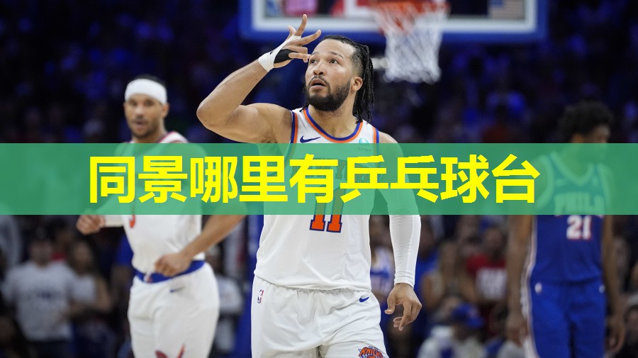 同景哪里有乒乓球台