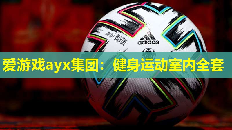 爱游戏ayx集团：健身运动室内全套