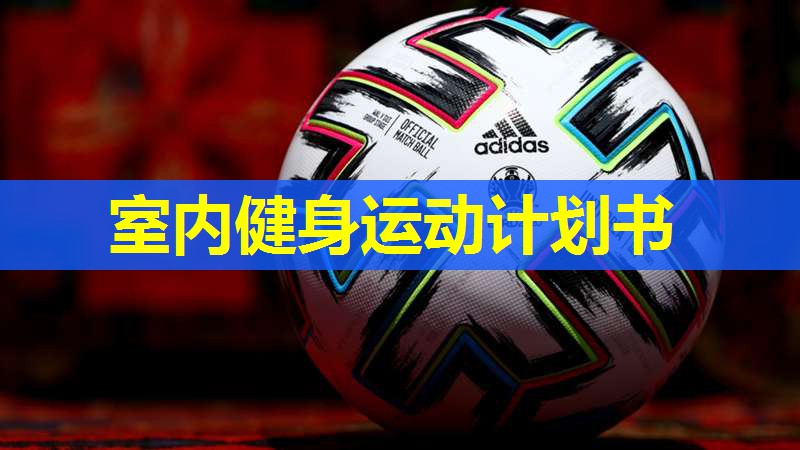 室内健身运动计划书