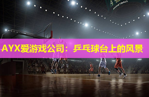 AYX爱游戏公司：乒乓球台上的风景