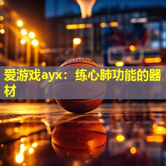 爱游戏ayx：练心肺功能的器材