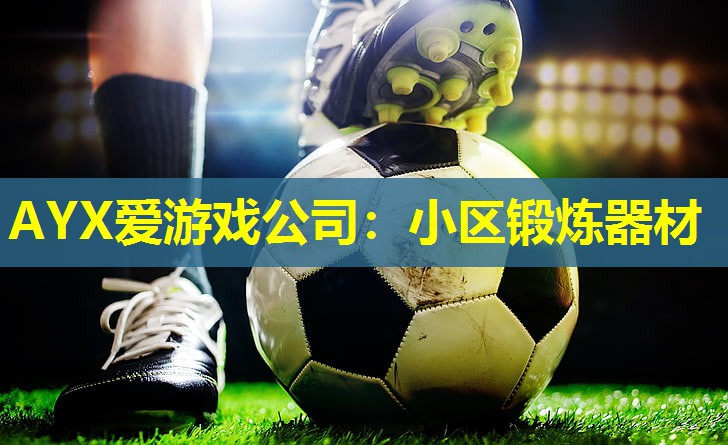AYX爱游戏公司：小区锻炼器材