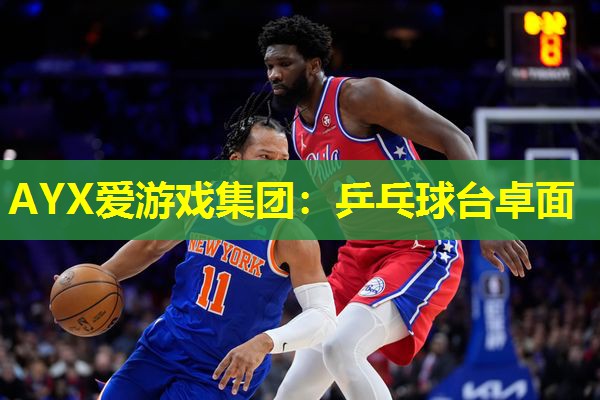 AYX爱游戏集团：乒乓球台卓面