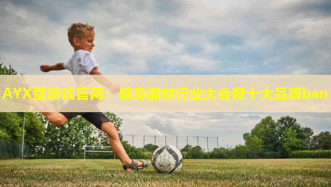 AYX爱游戏官网：健身器材行业大会暨十大品牌ban