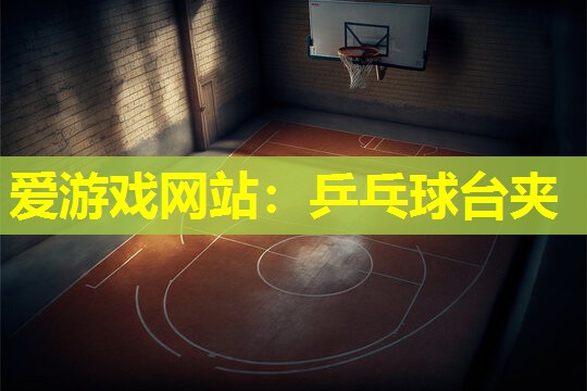 爱游戏网站：乒乓球台夹