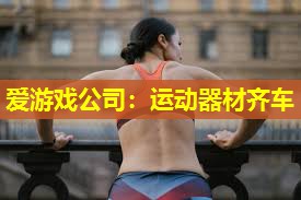 爱游戏公司：运动器材齐车