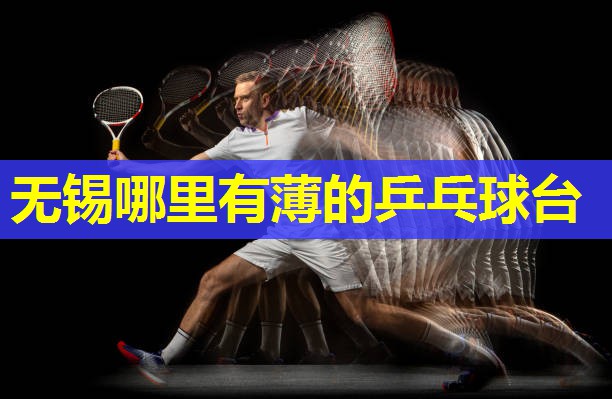 无锡哪里有薄的乒乓球台