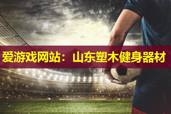 爱游戏网站：山东塑木健身器材
