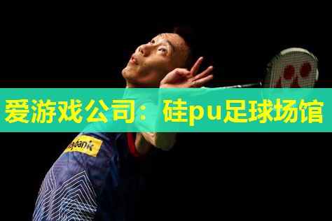 爱游戏公司：硅pu足球场馆