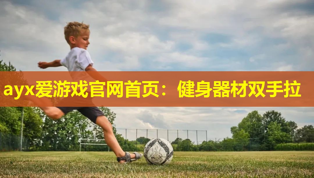 ayx爱游戏官网首页：健身器材双手拉