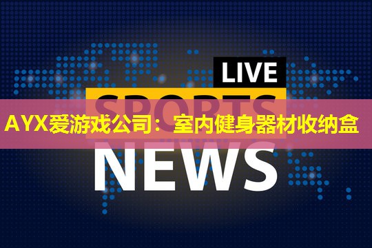AYX爱游戏公司：室内健身器材收纳盒