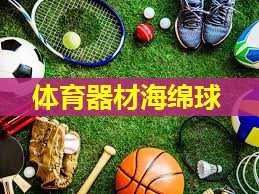 体育器材海绵球