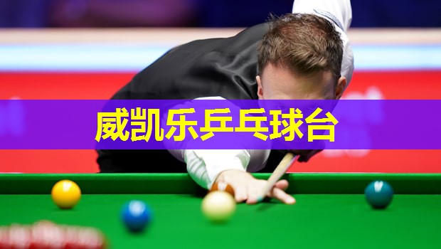 威凯乐乒乓球台