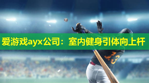 爱游戏ayx公司：室内健身引体向上杆