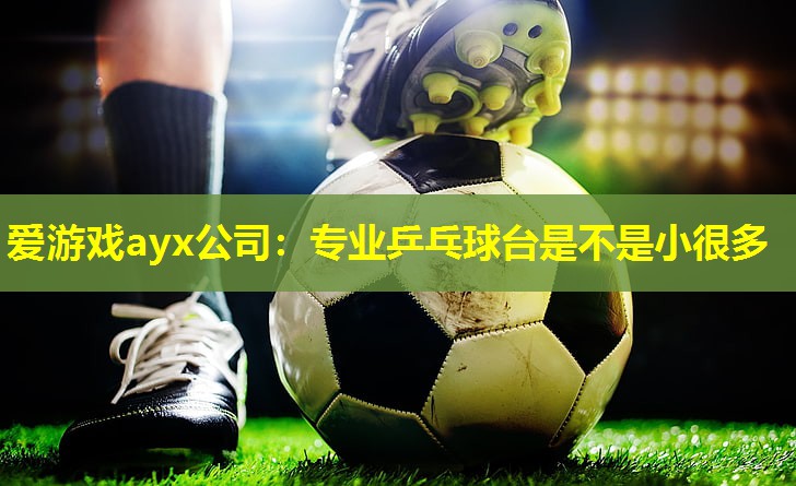 爱游戏ayx公司：专业乒乓球台是不是小很多