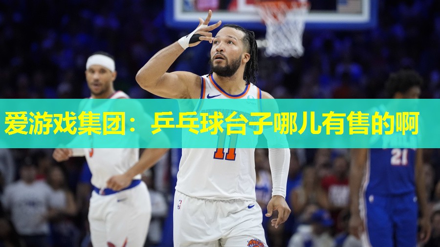 爱游戏集团：乒乓球台子哪儿有售的啊