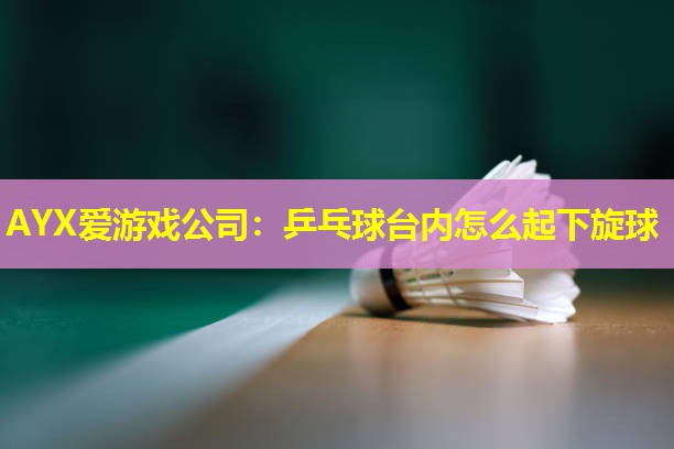 AYX爱游戏公司：乒乓球台内怎么起下旋球