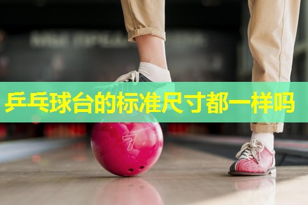 乒乓球台的标准尺寸都一样吗