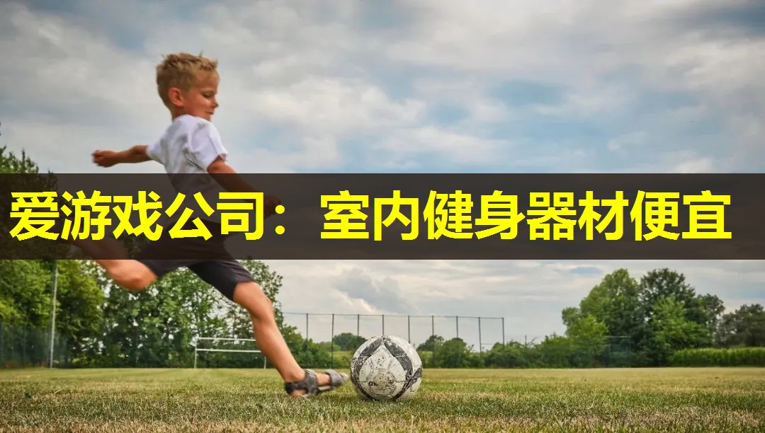 爱游戏公司：室内健身器材便宜