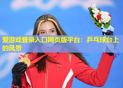 爱游戏登录入口网页版平台：乒乓球台上的风景