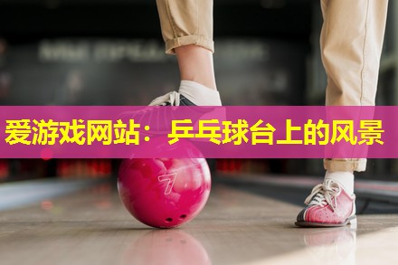 爱游戏网站：乒乓球台上的风景