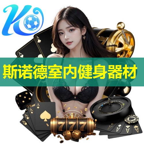 斯诺德室内健身器材