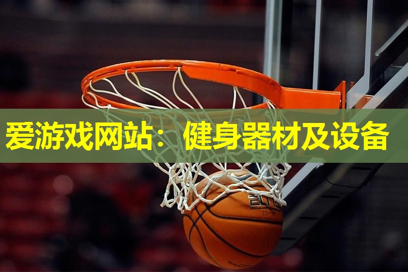 爱游戏网站：健身器材及设备