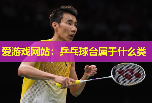 爱游戏网站：乒乓球台属于什么类