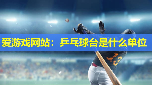 爱游戏网站：乒乓球台是什么单位