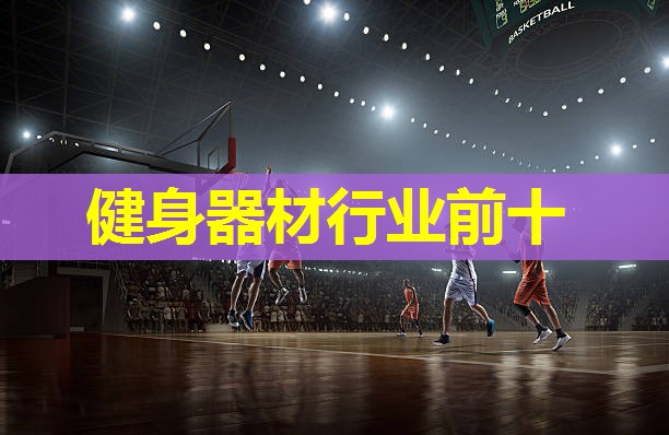 健身器材行业前十
