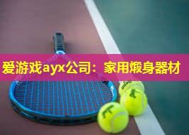 爱游戏ayx公司：家用煅身器材