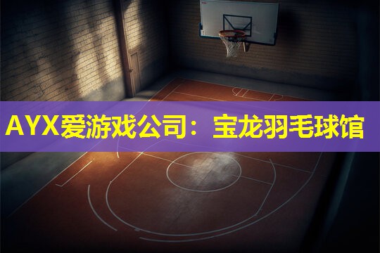 AYX爱游戏公司：宝龙羽毛球馆