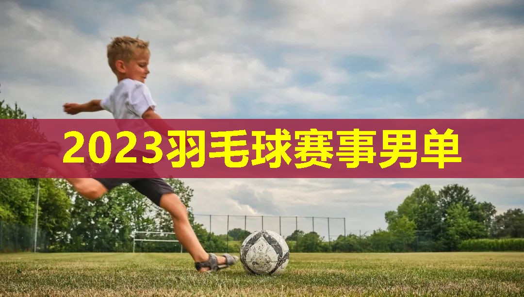 2023羽毛球赛事男单