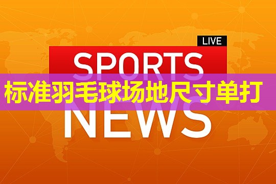 标准羽毛球场地尺寸单打