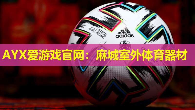 AYX爱游戏官网：麻城室外体育器材