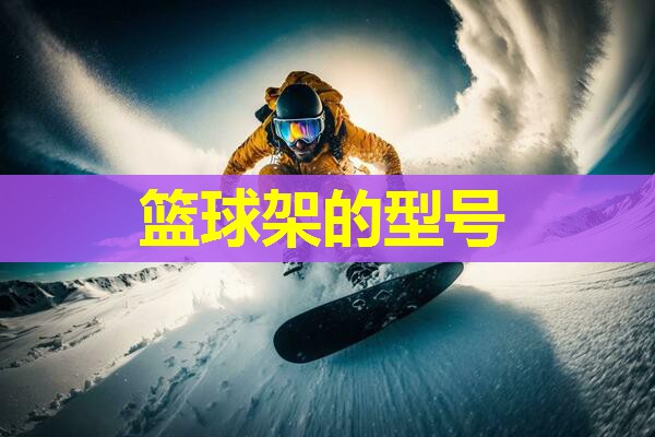 篮球架的型号