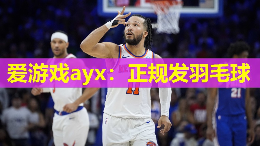爱游戏ayx：正规发羽毛球