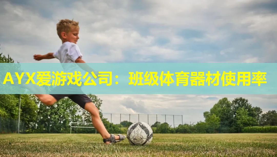 AYX爱游戏公司：班级体育器材使用率