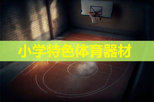 小学特色体育器材
